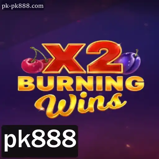 Descubra o Fascinante Mundo de BurningWinsX2